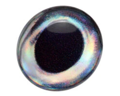 3D Epoxy Fish Eyes Tuna