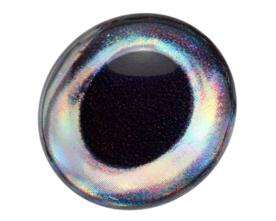 3D Epoxy Fish Eyes Tuna 3 3D Epoxy Fish Eyes Tuna