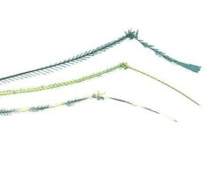 50 Hopper And Daddy Legs Single Knot -Fishing Specialty Store turrall hopper legs grande